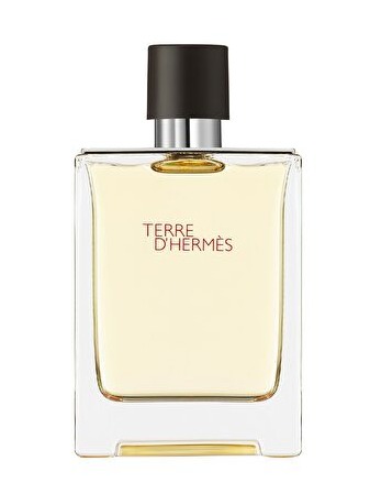 TERRE D'HERMES EDT 100 ML