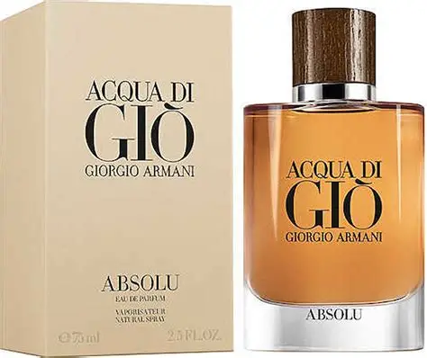 ACQUA DI GIO ARMANI ABSOLU EDP 100 ML