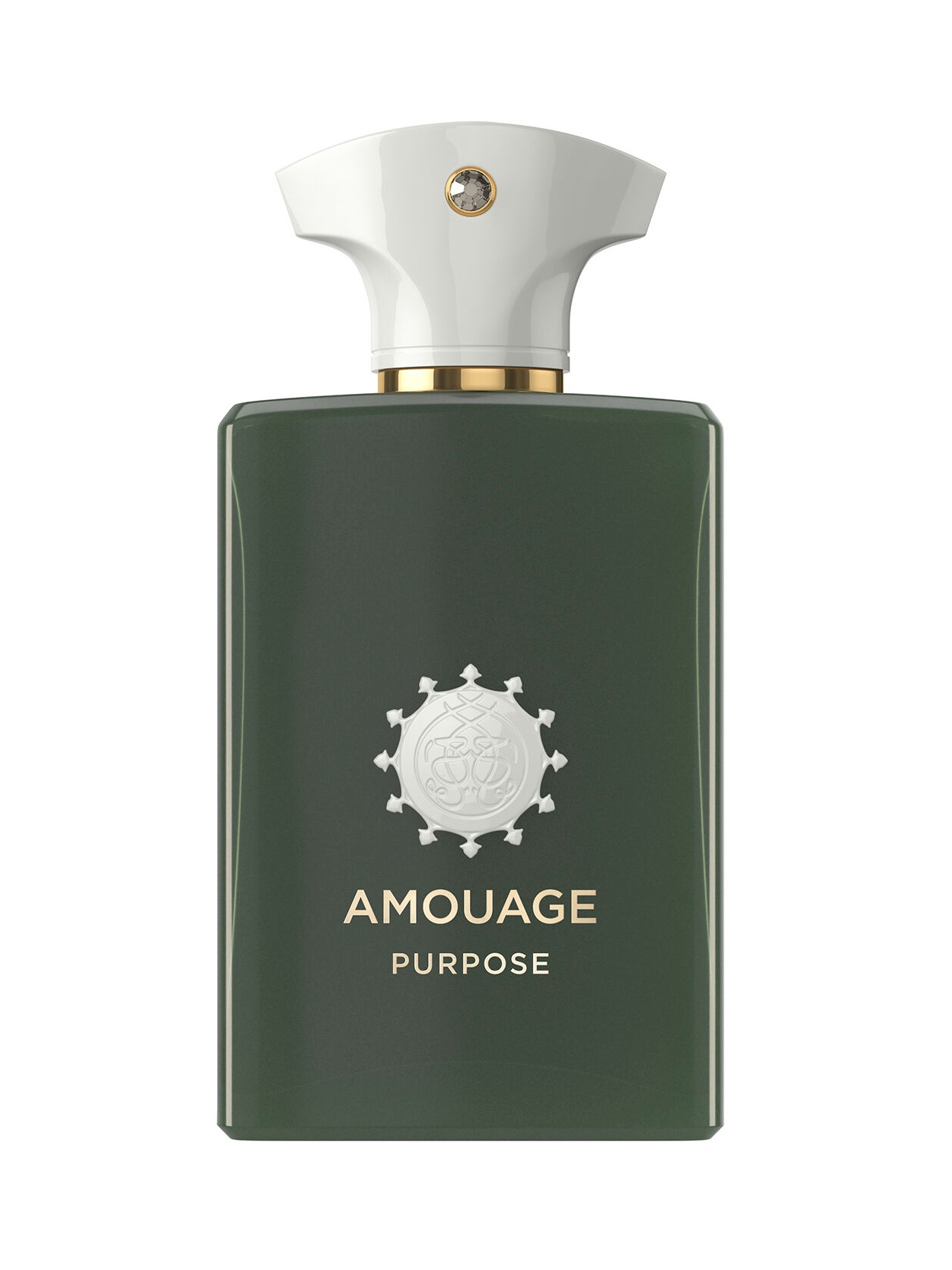 AMOUAGE PURPOSE EDP 100 ML