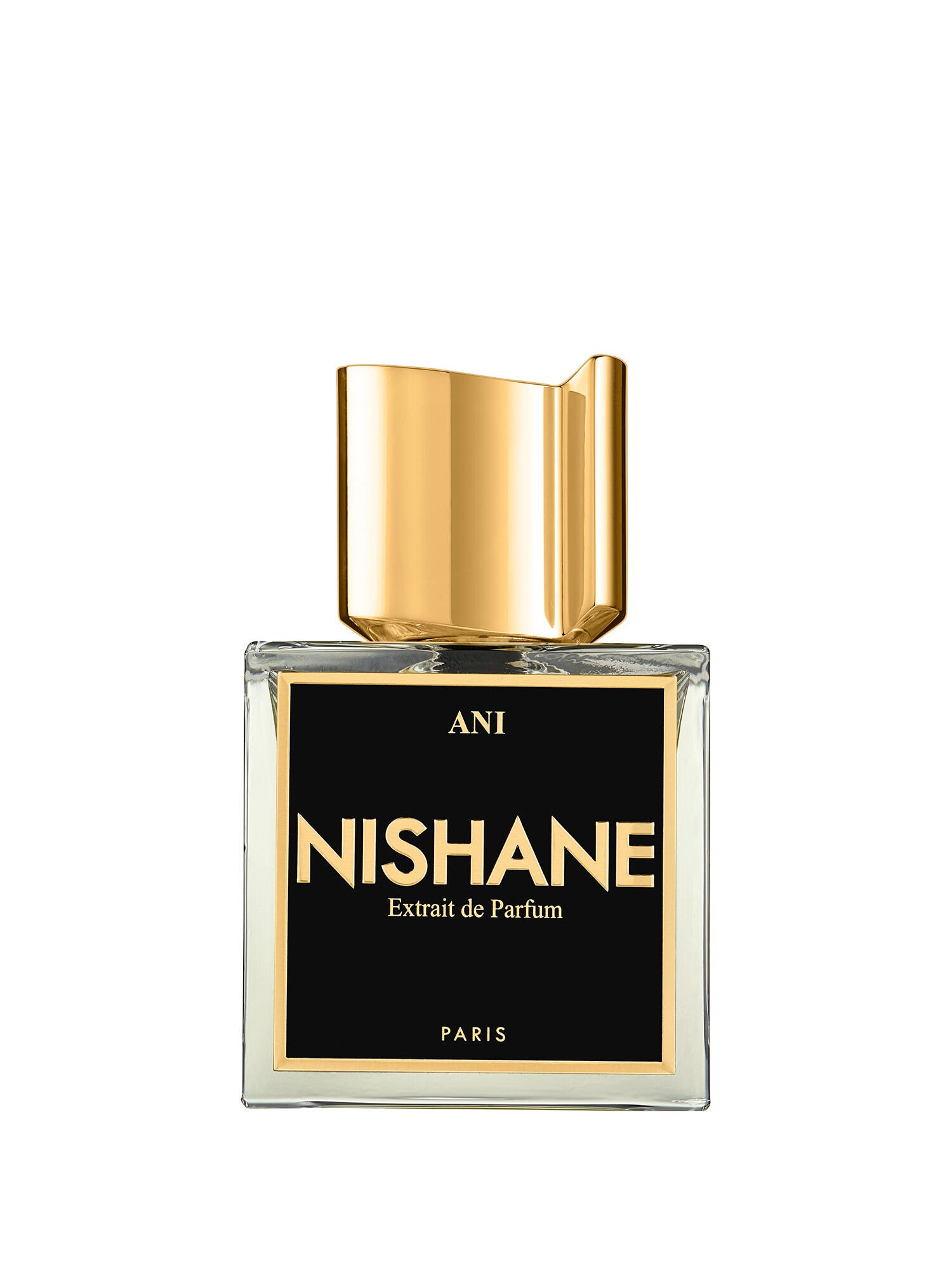 NISHANE ANI EXDRAIT PARFUM 100 ML